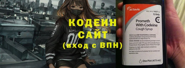 эйфоретик Дубна