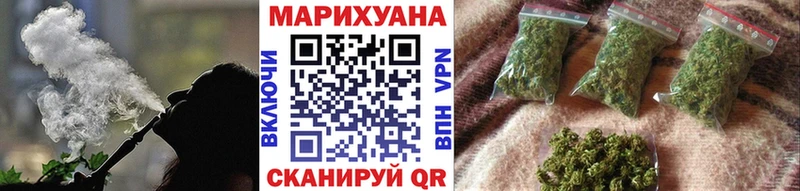 Шишки марихуана план Кирсанов