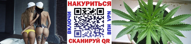 Конопля гибрид  где купить   Кирсанов 